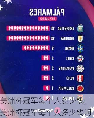美洲杯冠军每个人多少钱,美洲杯冠军每个人多少钱啊