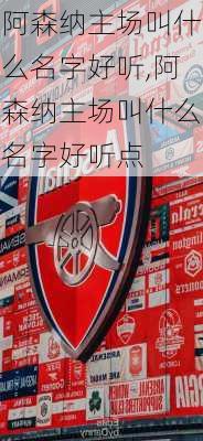 阿森纳主场叫什么名字好听,阿森纳主场叫什么名字好听点