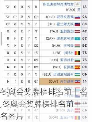 冬奥会奖牌榜排名前十名,冬奥会奖牌榜排名前十名图片