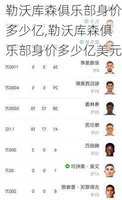 勒沃库森俱乐部身价多少亿,勒沃库森俱乐部身价多少亿美元