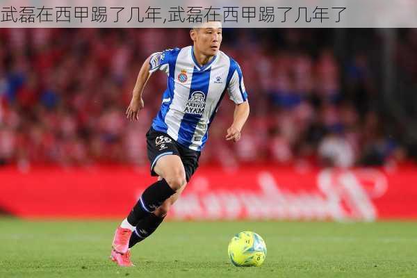 武磊在西甲踢了几年,武磊在西甲踢了几年了