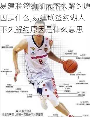 易建联签约湖人不久解约原因是什么,易建联签约湖人不久解约原因是什么意思