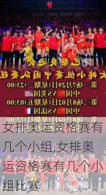 女排奥运资格赛有几个小组,女排奥运资格赛有几个小组比赛