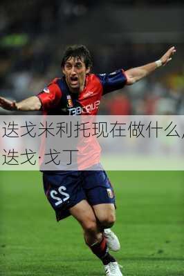 迭戈米利托现在做什么,迭戈·戈丁