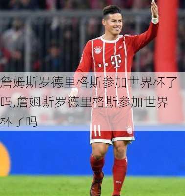 詹姆斯罗德里格斯参加世界杯了吗,詹姆斯罗德里格斯参加世界杯了吗