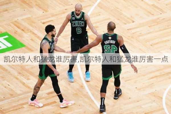 凯尔特人和猛龙谁厉害,凯尔特人和猛龙谁厉害一点