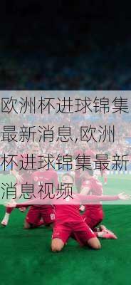 欧洲杯进球锦集最新消息,欧洲杯进球锦集最新消息视频