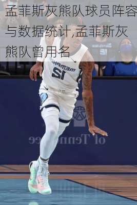 孟菲斯灰熊队球员阵容与数据统计,孟菲斯灰熊队曾用名