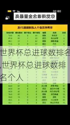 世界杯总进球数排名,世界杯总进球数排名个人
