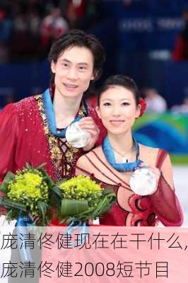 庞清佟健现在在干什么,庞清佟健2008短节目