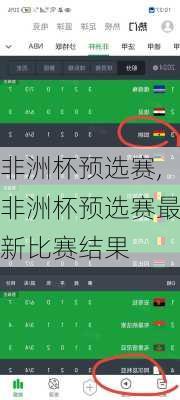 非洲杯预选赛,非洲杯预选赛最新比赛结果