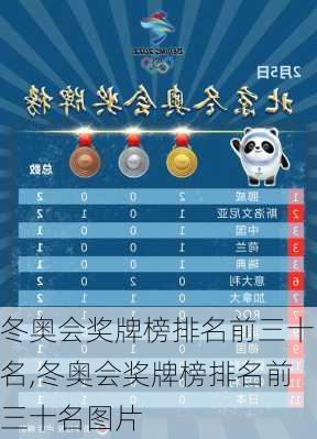 冬奥会奖牌榜排名前三十名,冬奥会奖牌榜排名前三十名图片