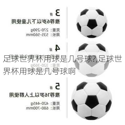 足球世界杯用球是几号球?,足球世界杯用球是几号球啊