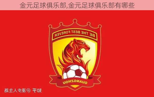 金元足球俱乐部,金元足球俱乐部有哪些