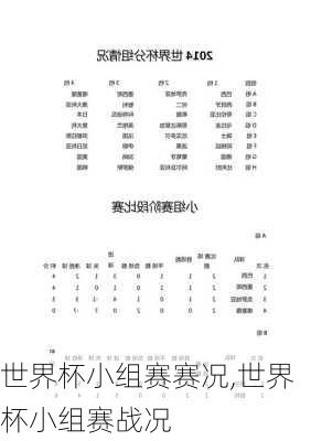 世界杯小组赛赛况,世界杯小组赛战况