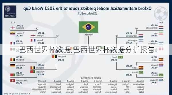 巴西世界杯数据,巴西世界杯数据分析报告