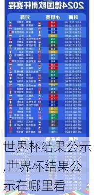 世界杯结果公示,世界杯结果公示在哪里看