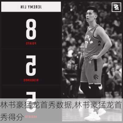 林书豪猛龙首秀数据,林书豪猛龙首秀得分
