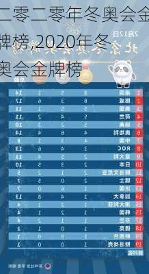 二零二零年冬奥会金牌榜,2020年冬奥会金牌榜