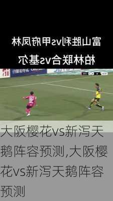 大阪樱花vs新泻天鹅阵容预测,大阪樱花vs新泻天鹅阵容预测