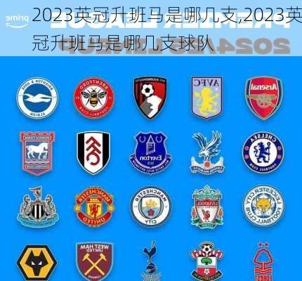 2023英冠升班马是哪几支,2023英冠升班马是哪几支球队