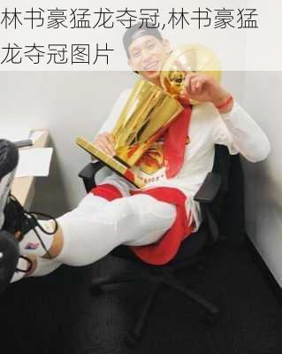 林书豪猛龙夺冠,林书豪猛龙夺冠图片