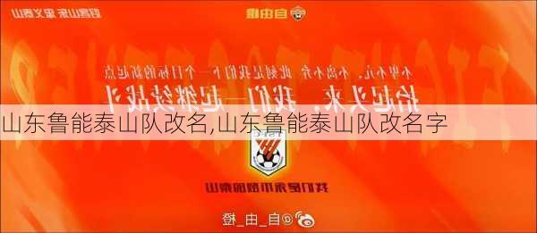 山东鲁能泰山队改名,山东鲁能泰山队改名字