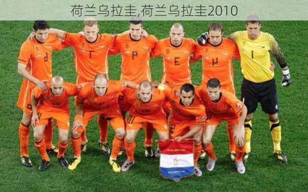 荷兰乌拉圭,荷兰乌拉圭2010