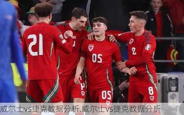 威尔士vs捷克数据分析,威尔士vs捷克数据分析