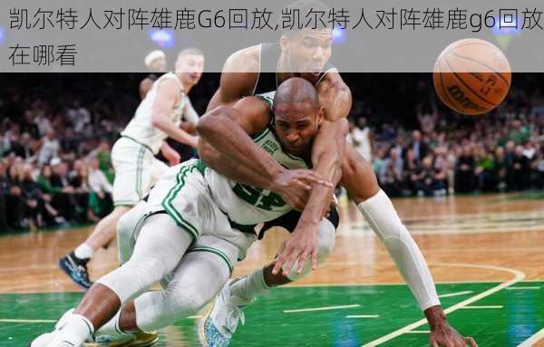 凯尔特人对阵雄鹿G6回放,凯尔特人对阵雄鹿g6回放在哪看