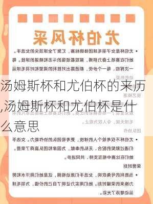 汤姆斯杯和尤伯杯的来历,汤姆斯杯和尤伯杯是什么意思