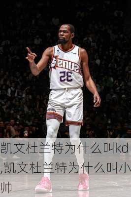 凯文杜兰特为什么叫kd,凯文杜兰特为什么叫小帅