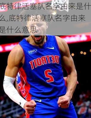 底特律活塞队名字由来是什么,底特律活塞队名字由来是什么意思