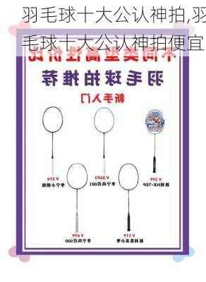羽毛球十大公认神拍,羽毛球十大公认神拍便宜