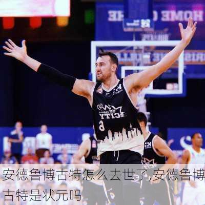 安德鲁博古特怎么去世了,安德鲁博古特是状元吗