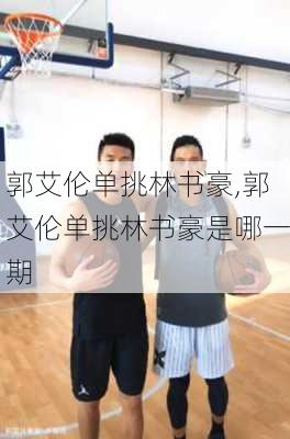 郭艾伦单挑林书豪,郭艾伦单挑林书豪是哪一期