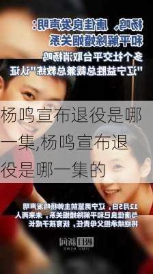 杨鸣宣布退役是哪一集,杨鸣宣布退役是哪一集的