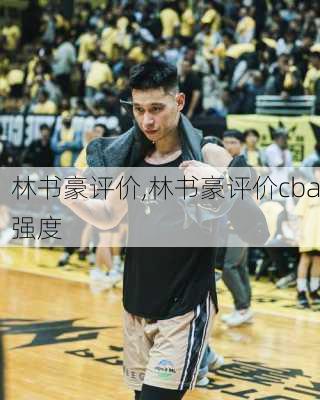 林书豪评价,林书豪评价cba强度