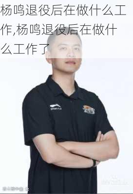 杨鸣退役后在做什么工作,杨鸣退役后在做什么工作了