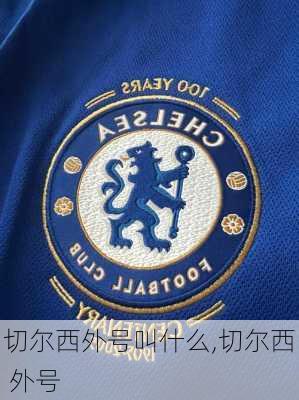 切尔西外号叫什么,切尔西 外号
