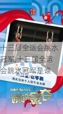 十三届全运会跳水冠军,十三届全运会跳水冠军是谁