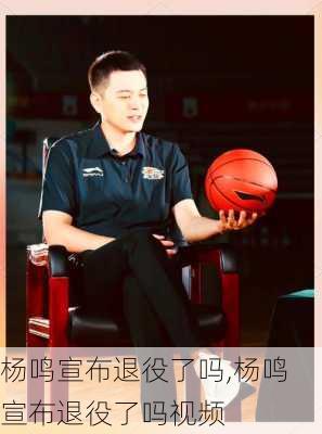 杨鸣宣布退役了吗,杨鸣宣布退役了吗视频