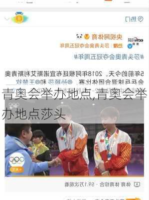 青奥会举办地点,青奥会举办地点莎头