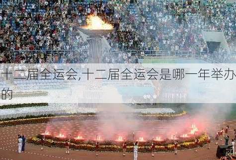 十二届全运会,十二届全运会是哪一年举办的