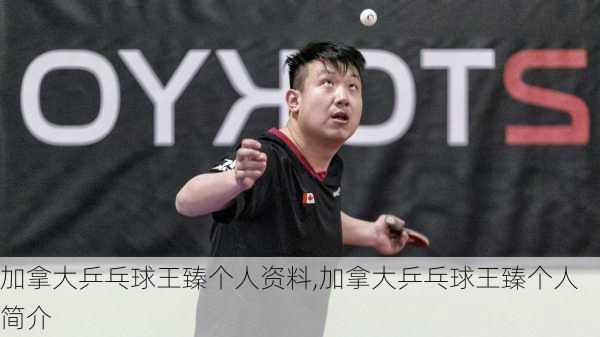 加拿大乒乓球王臻个人资料,加拿大乒乓球王臻个人简介