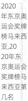 2020年东京奥运会奖牌榜马来西亚,2020年东京奥运会奖牌榜马来西亚第几名