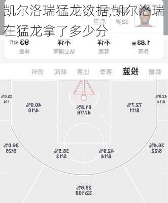 凯尔洛瑞猛龙数据,凯尔洛瑞在猛龙拿了多少分