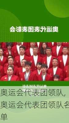 奥运会代表团领队,奥运会代表团领队名单