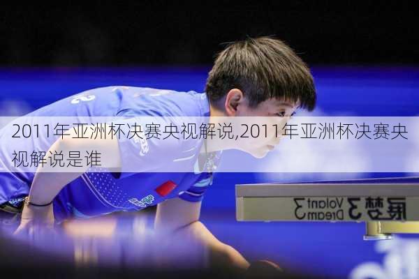 2011年亚洲杯决赛央视解说,2011年亚洲杯决赛央视解说是谁