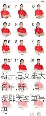 新一届女排大名单,新一届女排大名单号码